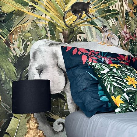 Studio Tropical , Vierzon , Proche Gare , Tout Confort المظهر الخارجي الصورة