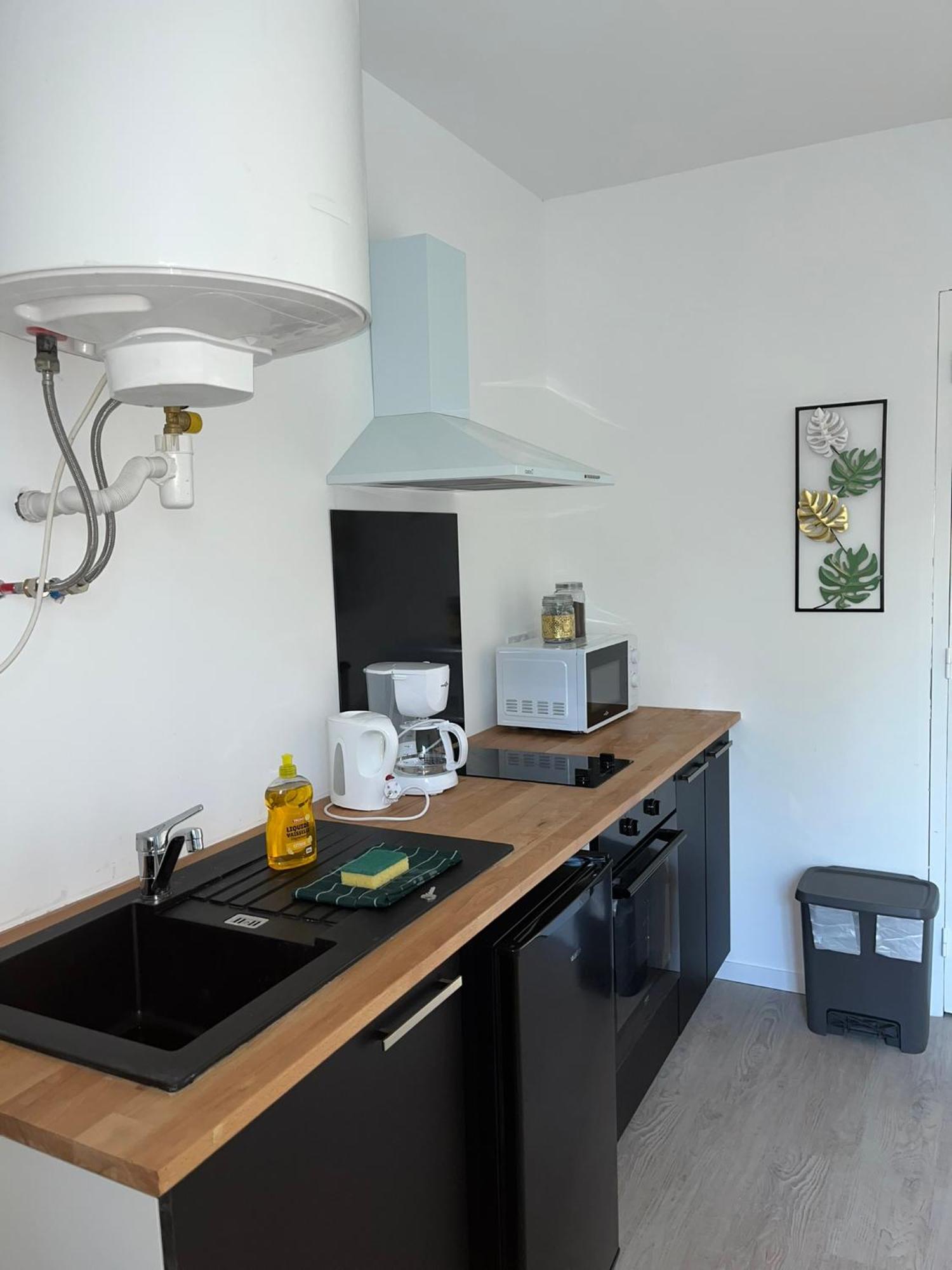 Studio Tropical , Vierzon , Proche Gare , Tout Confort المظهر الخارجي الصورة