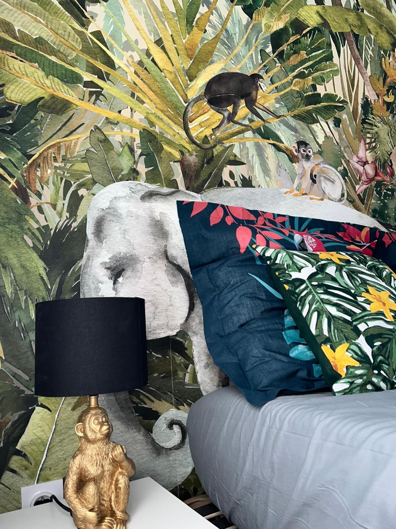 Studio Tropical , Vierzon , Proche Gare , Tout Confort المظهر الخارجي الصورة