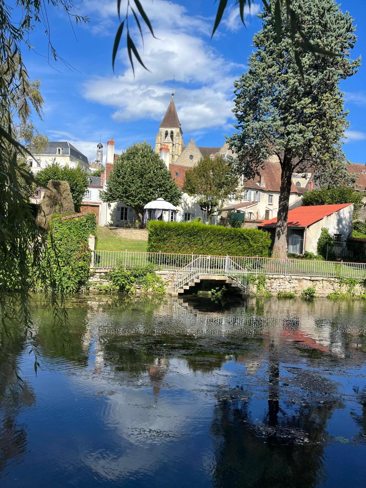 Studio Tropical , Vierzon , Proche Gare , Tout Confort المظهر الخارجي الصورة